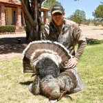 Gould's Turkey Hunting