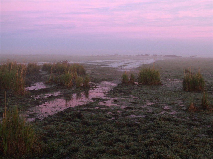 La Paz Argentina Duck Hunting