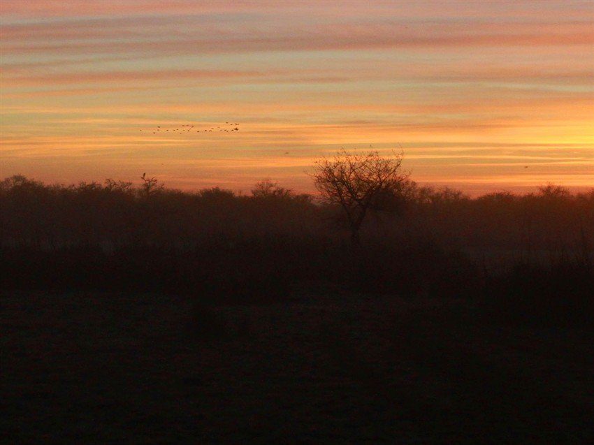 La Paz Argentina Duck Hunting