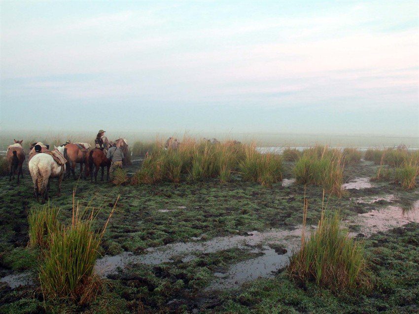 La Paz Argentina Duck Hunting