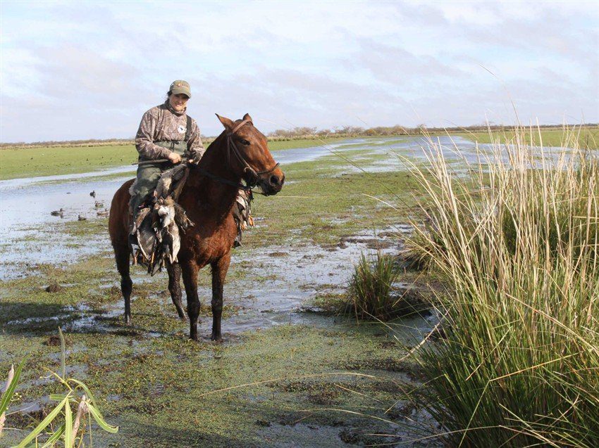 La Paz Argentina Duck Hunting