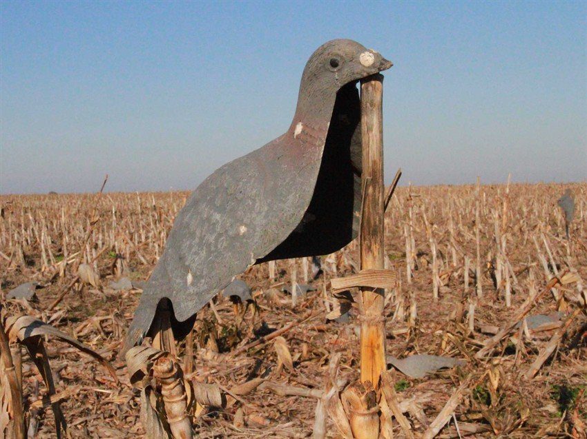 La Paz Argentina Duck Hunting