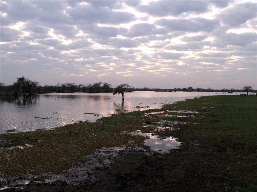 La Paz Argentina Duck Hunting