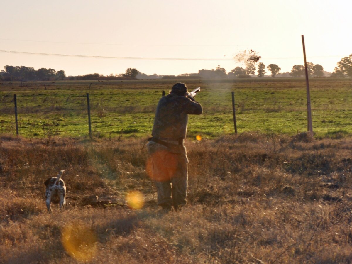 Las Flores Argentina Duck Hunting