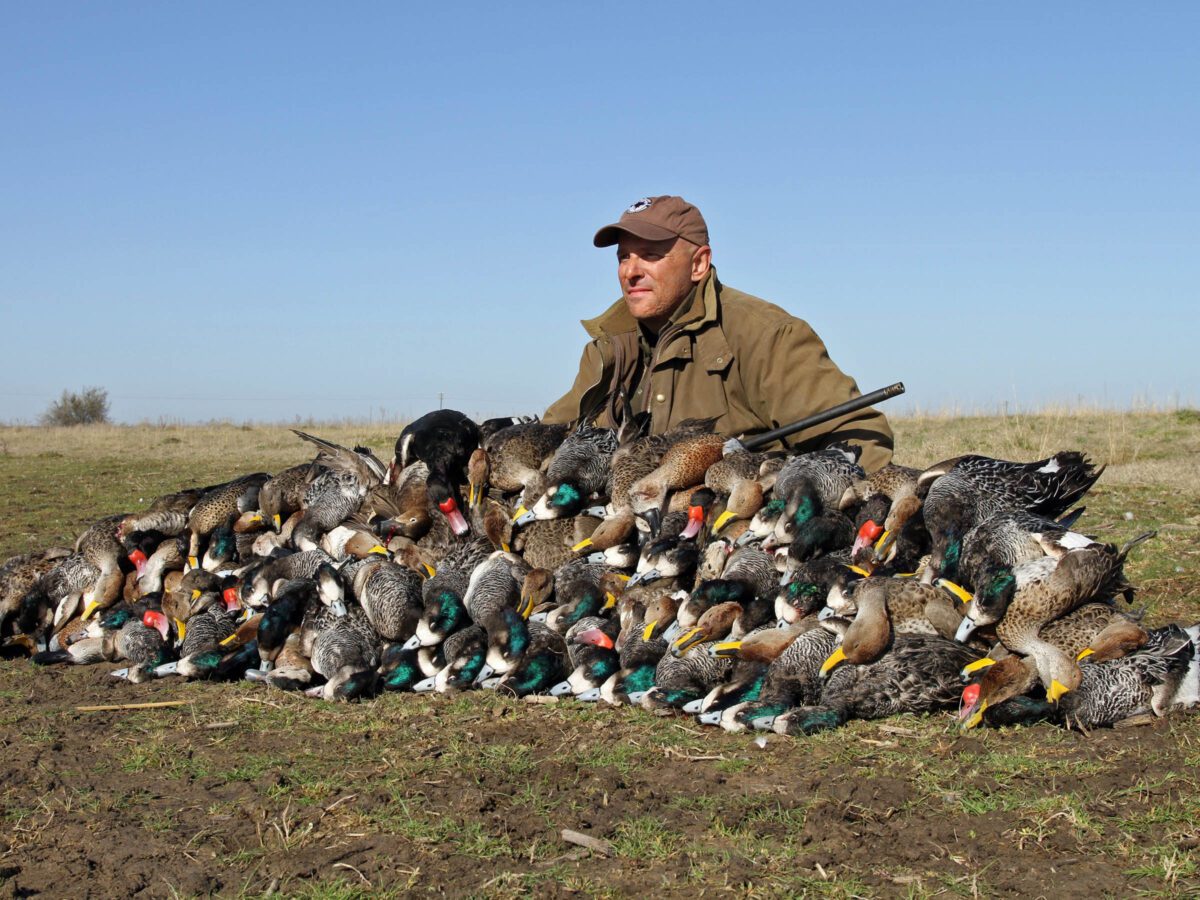 Las Flores Argentina Duck Hunting