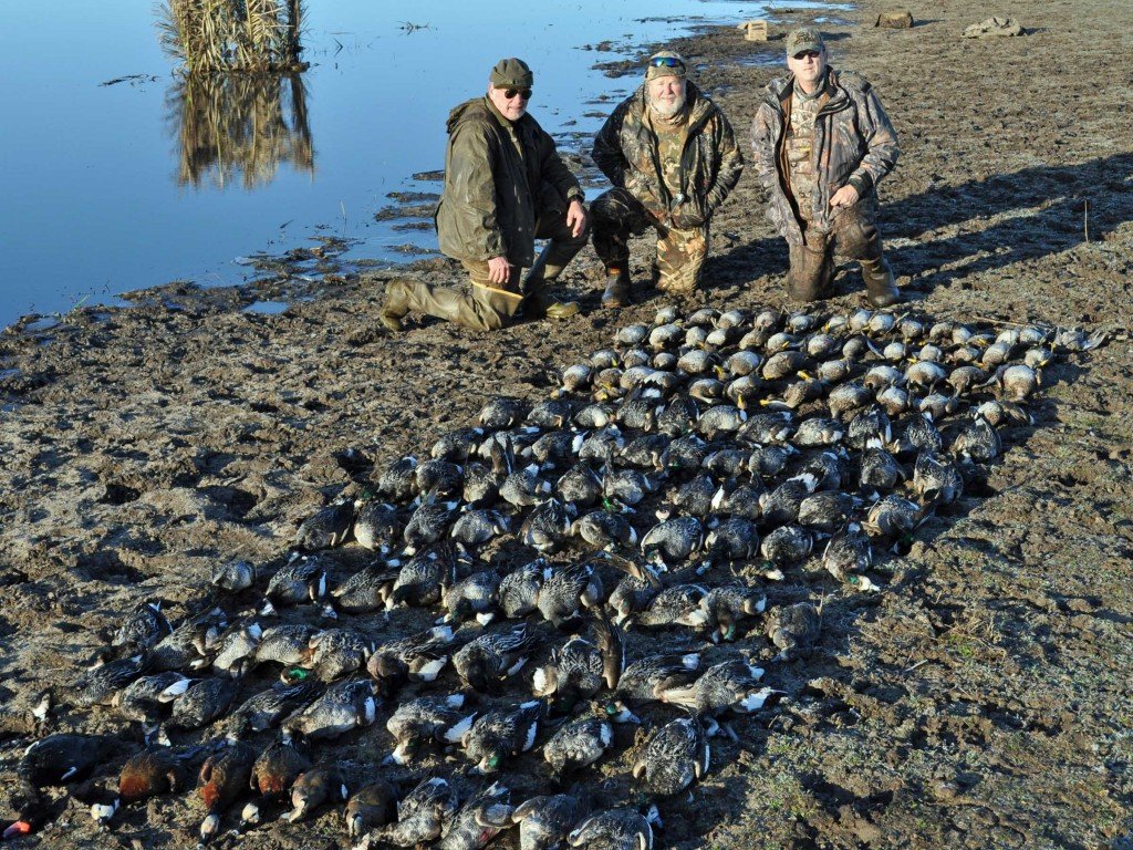 Argentina Duck Hunting Las Flores Ramsey Russell's