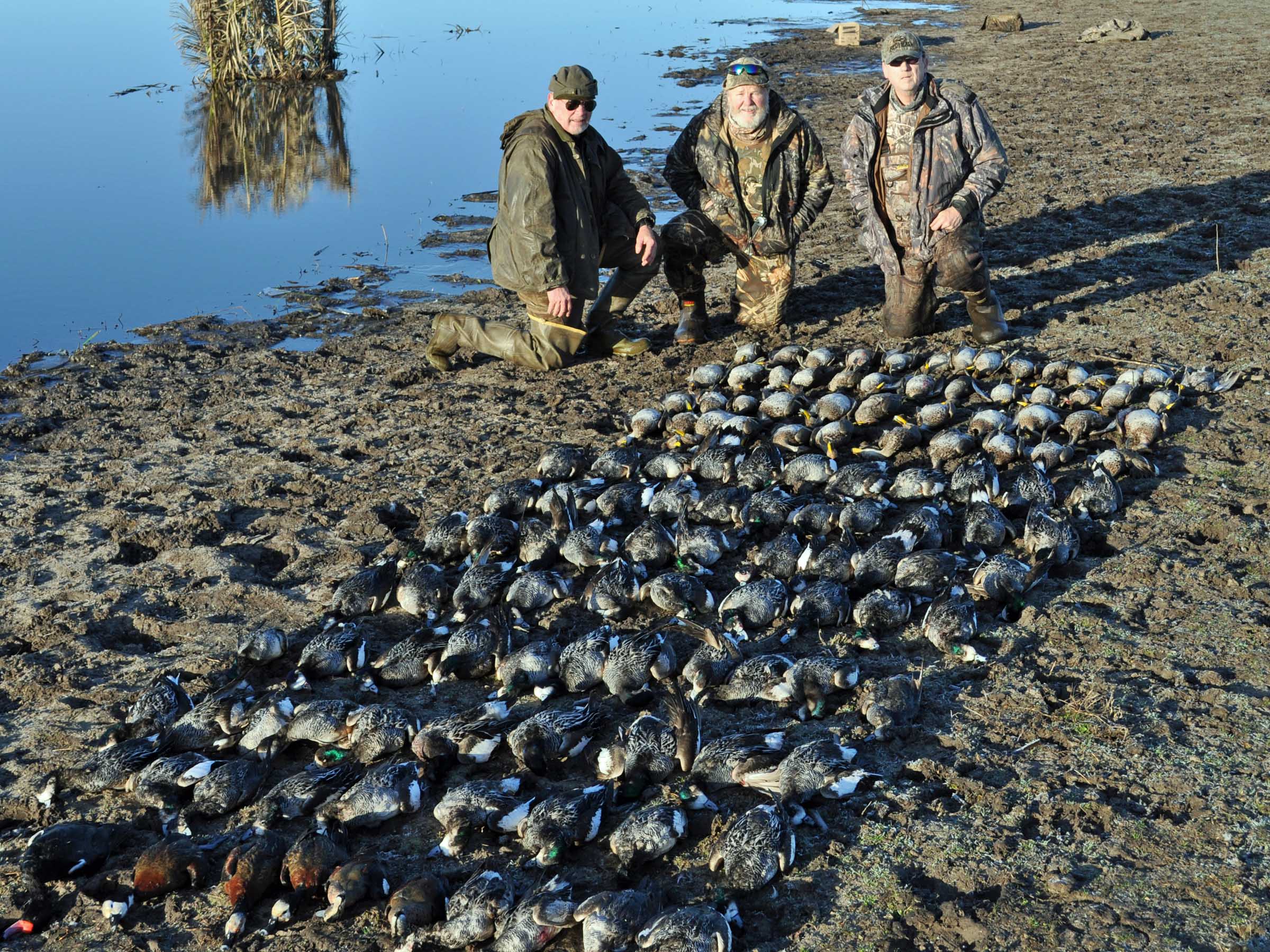 Las Flores Argentina Duck Hunting Ramsey Russell's