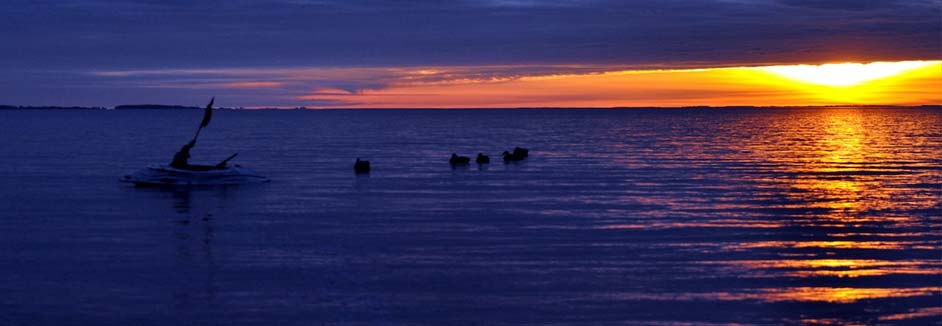 atlantic flyway hunts