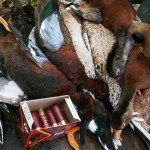 MAZATLAN MEXICO DUCK HUNT