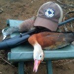 MAZATLAN MEXICO DUCK HUNT