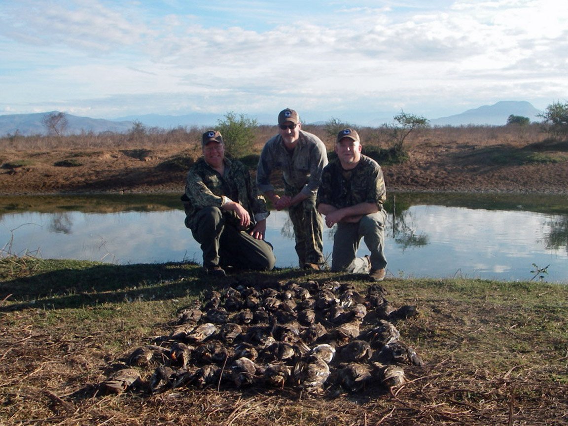 mazatlan mexico duck hunting 0866 - Ramsey Russell's GetDucks.com