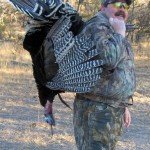 Gould's Turkey Hunting Mexico