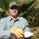 Baja Mexico Pacific Black Brant Hunting