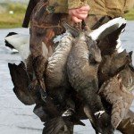 Baja Mexico Pacific Black Brant Hunting
