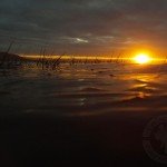 Baja Mexico Pacific Black Brant Hunting