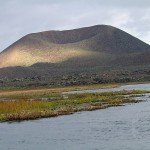 Baja Mexico Pacific Black Brant Hunting