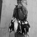 Nova Scotia Sink Box Duck Hunting