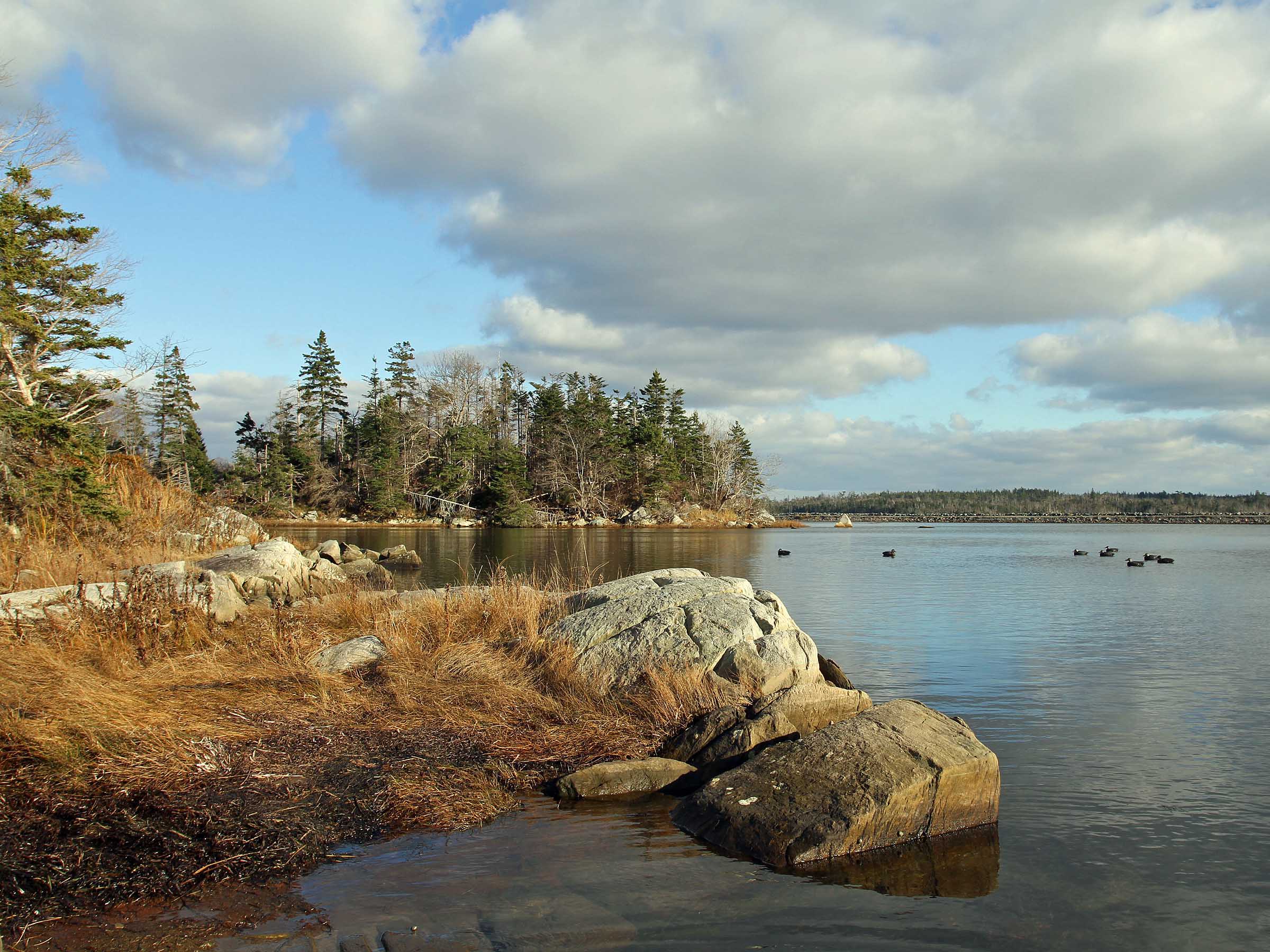 Nova Scotia Sink Box Duck Hunting Ramsey Russell's