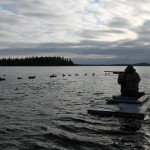 Nova Scotia Sink Box Duck Hunting