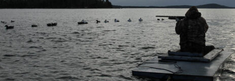 Nova Scotia Sink Box Duck Hunting Nova Scotia Sink Box Duck Hunting