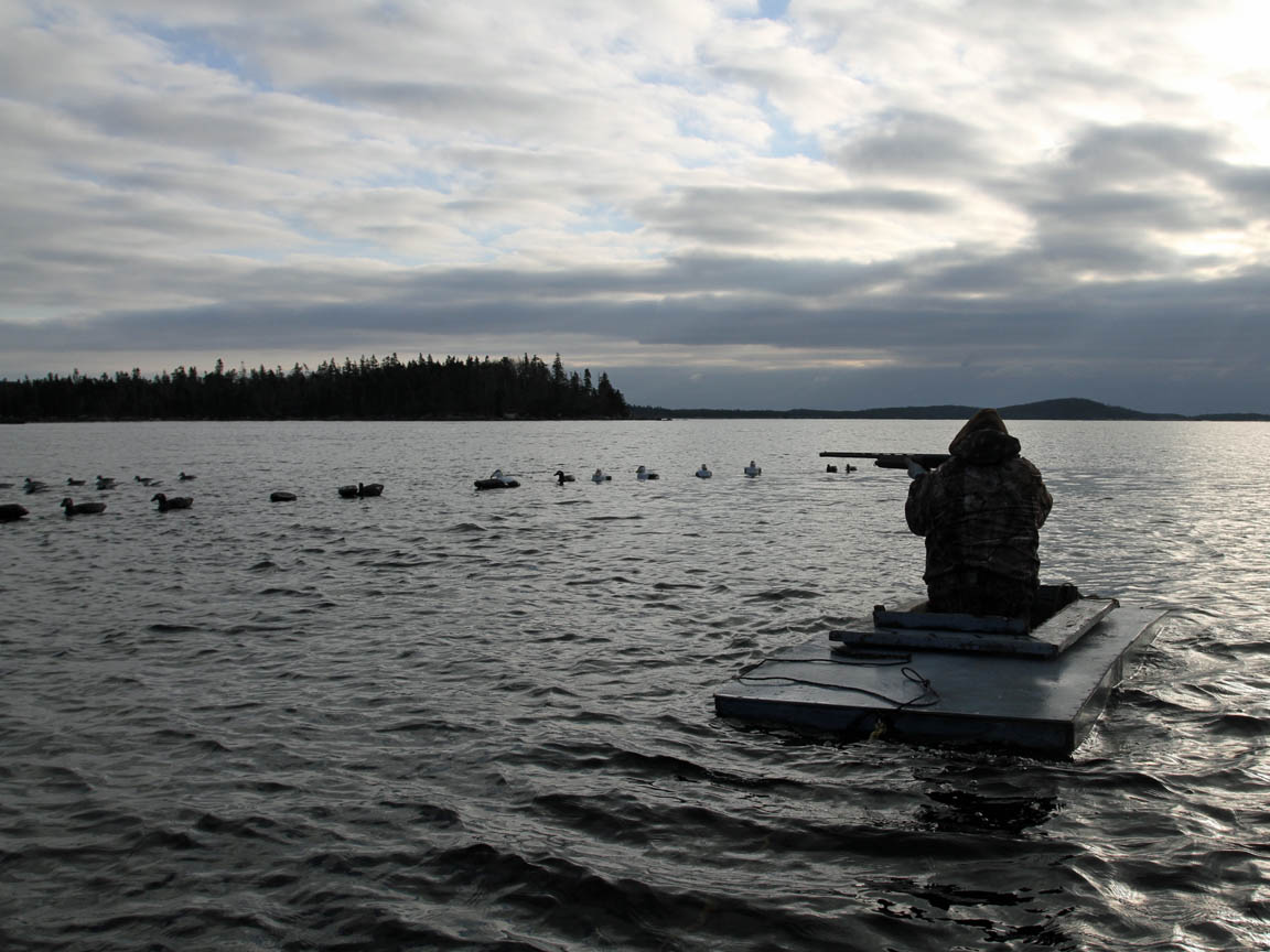 Nova Scotia Sink Box Duck Hunting Ramsey Russell's