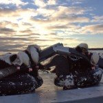 Nova Scotia Sink Box Duck Hunting