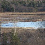 Nova Scotia Sink Box Duck Hunting