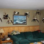 Nova Scotia Sink Box Duck Hunting