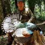 Ocellated Turkey Hunting