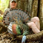 Ocellated Turkey Hunting
