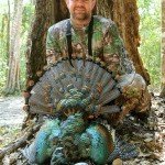 Ocellated Turkey Hunting