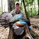 Ocellated Turkey Hunting
