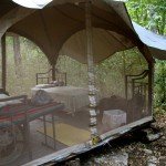 Mexico Ocellated Turkey Hunting