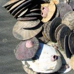 Baja Mexico Pacific Black Brant Hunting