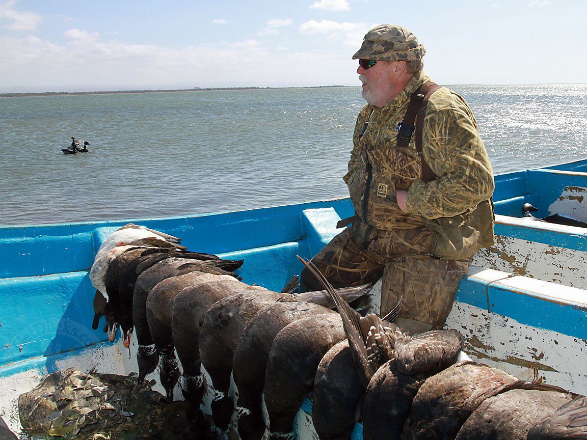 Baja Mexico Pacific Black Brant Hunting