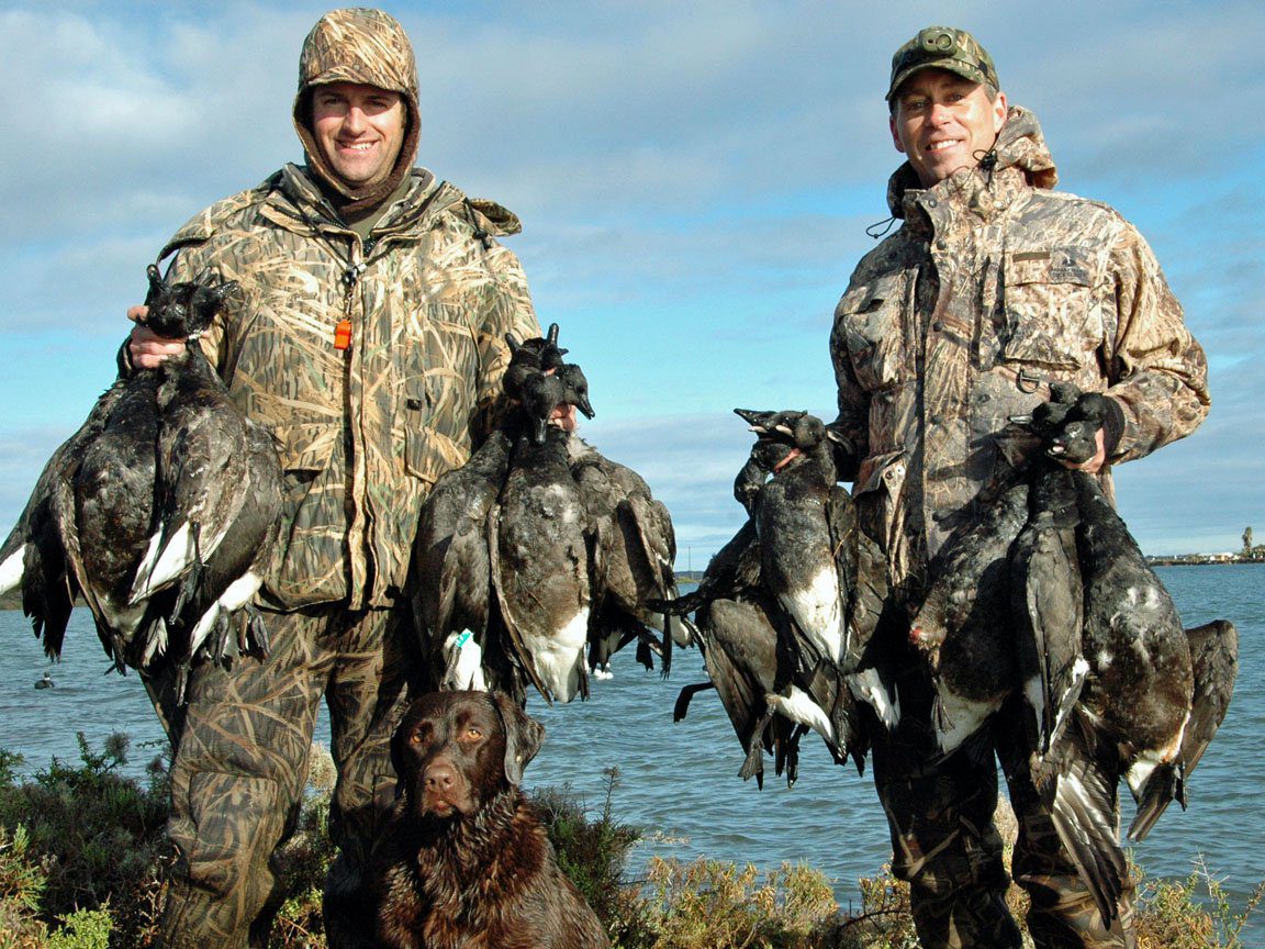 Baja Mexico Pacific Black Brant Hunting