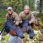 western capercaillie