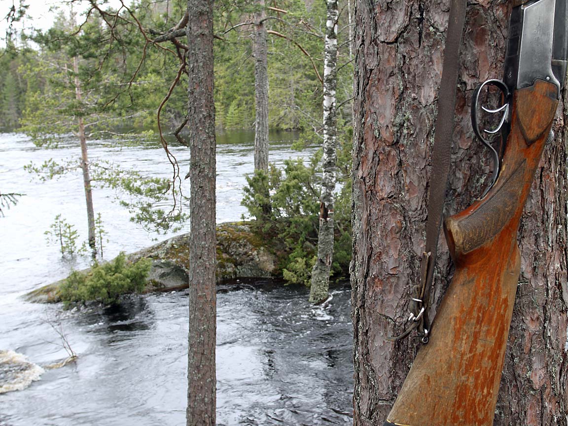 Russia Duck Hunting