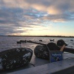 Nova Scotia Sink Box Duck Hunting