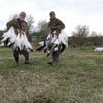 Spring Snow Goose Hunting in Quebec Canada Spring Snow Goose Hunting in Quebec Canada