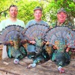 Mexico Ocellated Turkey Hunting