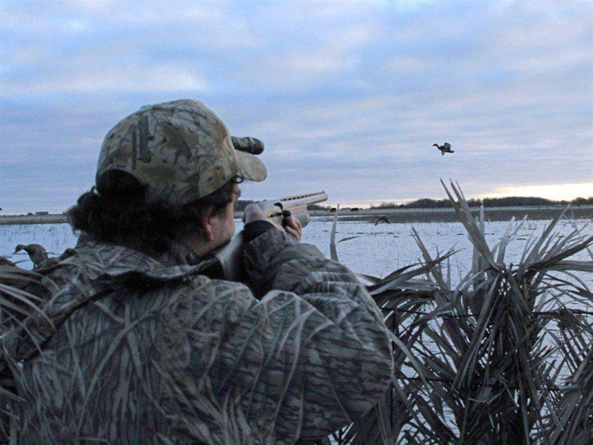 Las Flores Argentina Duck Hunting