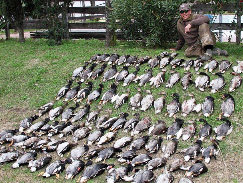 Las Flores Argentina Duck Hunting