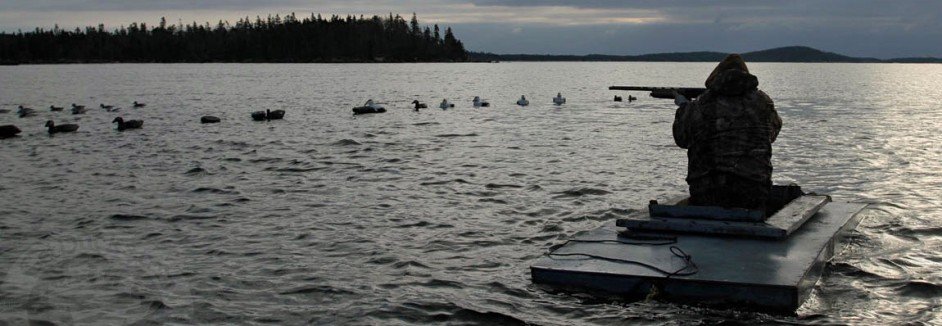 Nova Scotia Sink Box Duck Hunting Ramsey Russell S
