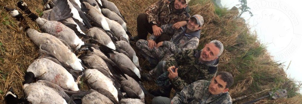 Ontario Canada Goose Hunting