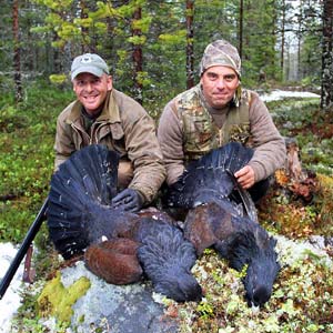 capercaillie hunting