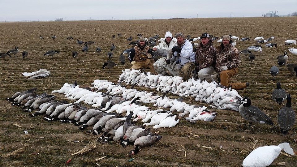 Colorado Goose Hunting Ramsey Russell's
