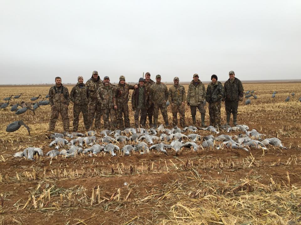 texas goose hunting crooked wing outfitters 446095795384_n Ramsey