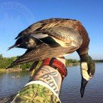 Mazatlan Mexico Duck Hunting