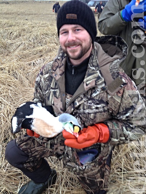 KING EIDER HUNTING IN ALASKA